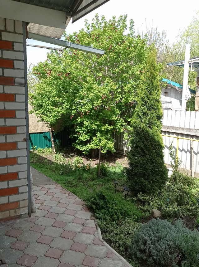 Холодная весна двадцать второго