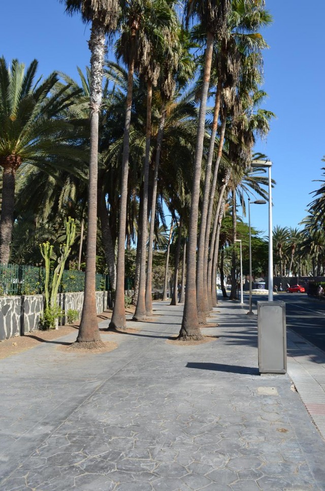 Как я катался на велике