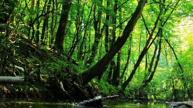 Красоты Ирана
