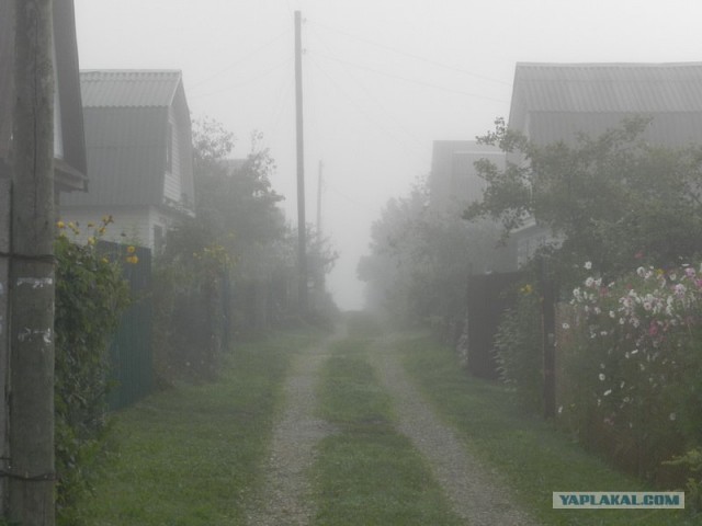 Рыбалки псто