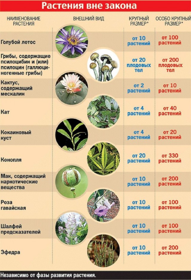Воскресная наркомания, для деградантов