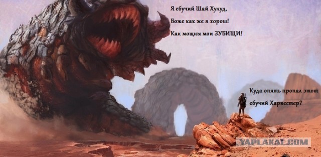В такие снегопады только и делать, что выгуливать сугробы