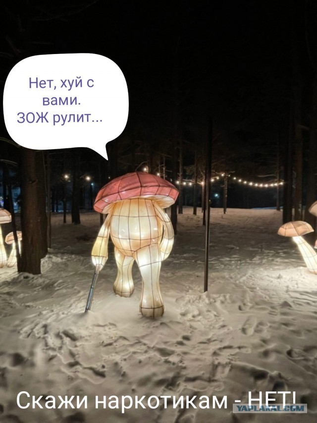 У будущей жены должна быть квартира и машина