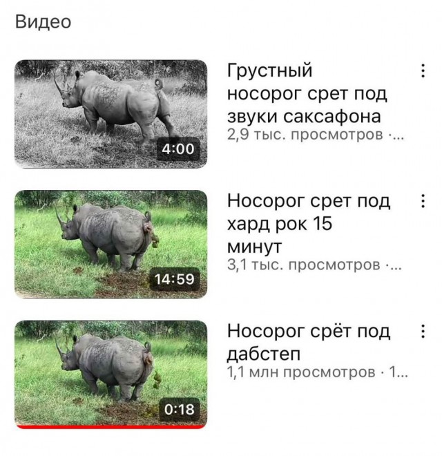 Нуштош 03.08.2023