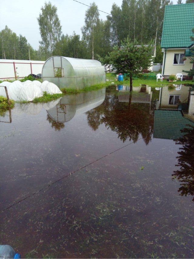 Откуда берутся женоненавистники
