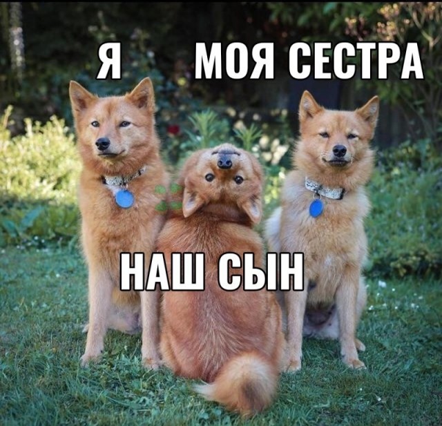 Всего понемногу. От 14.01