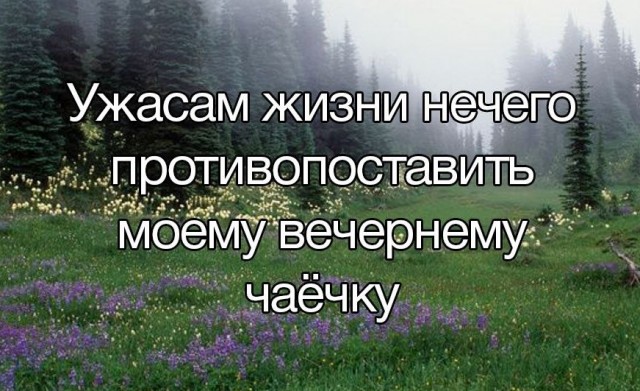 Всего понемногу. От 02.04.24