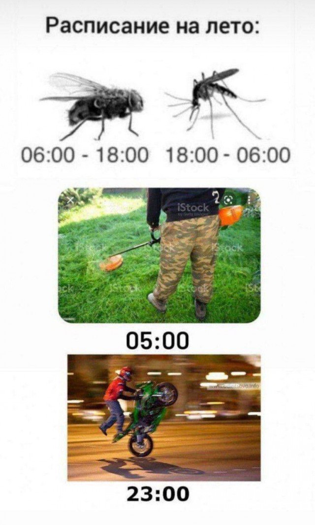 Веселые картинки к пятнице (07.06)