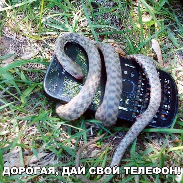 Так себе картинки 18.07.24