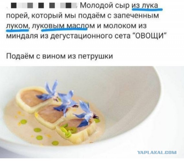 Веселые картинки к понедельнику (05.08)