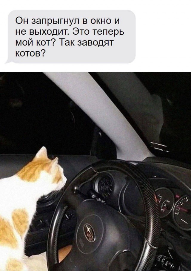 Завалялось тут случайно немного забавных картинок