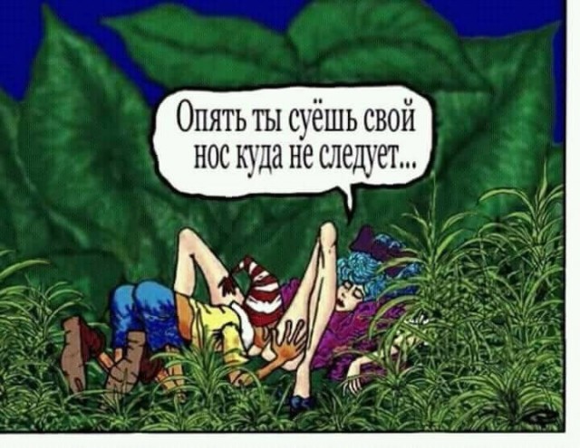 Так себе картинки 30.08.24