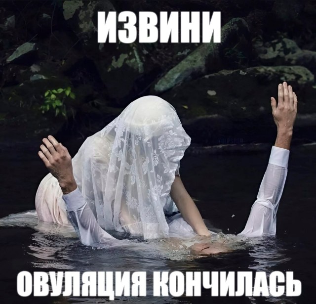 Всего понемногу. От 24.01.25