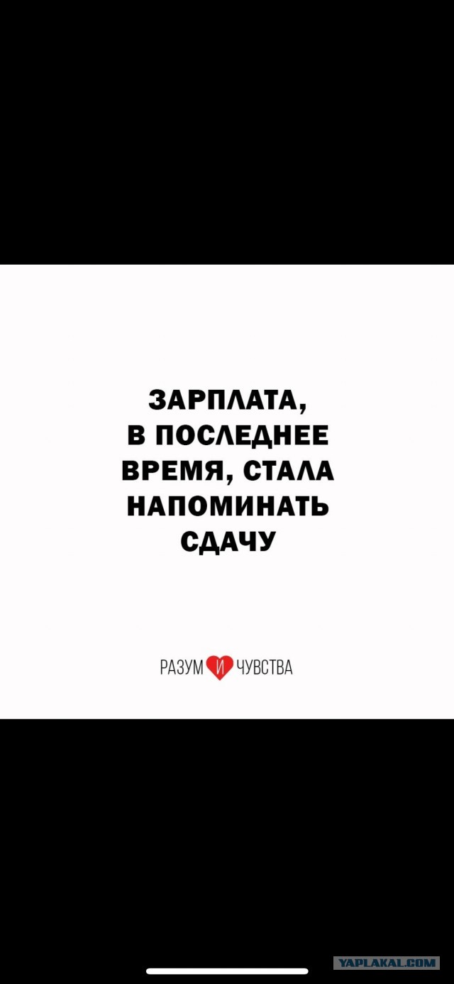 Зарплаты российских губернаторов вырастут примерно в 5-8 раз