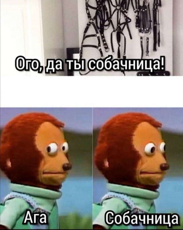 Немного мемчиков. Для взрослых. Часть 37