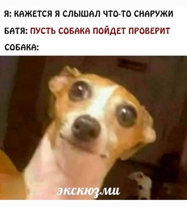 Веселое настроение в картинках (06.10.2025)