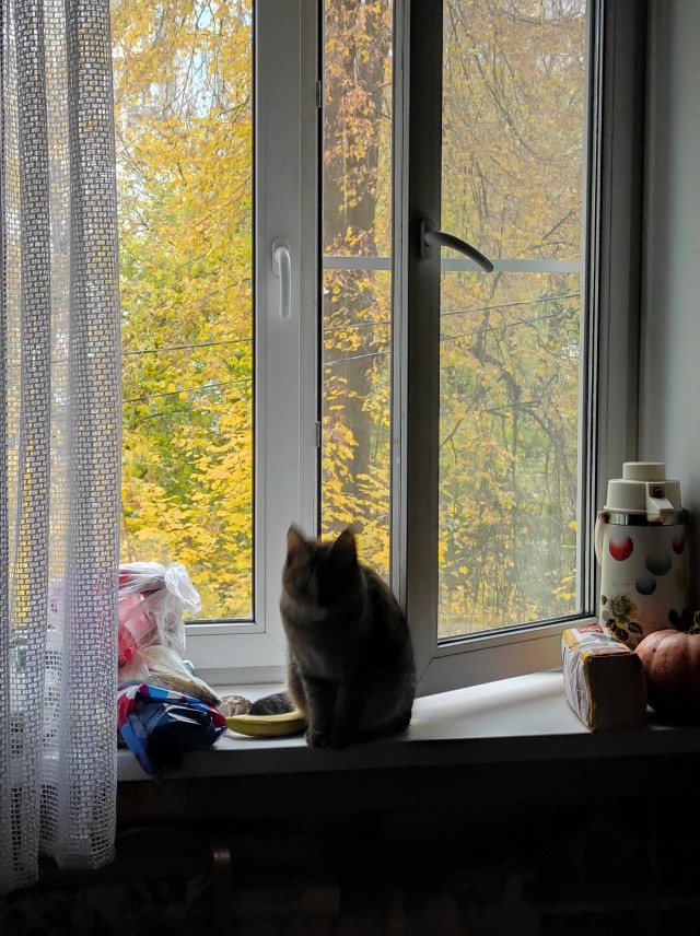 А из нашего окна, площадь Красная видна
