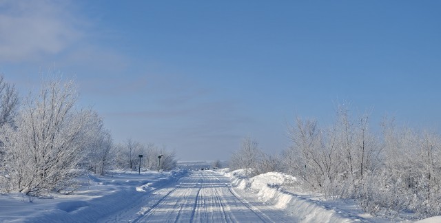 Торопыги. Ялта. Сегодня.