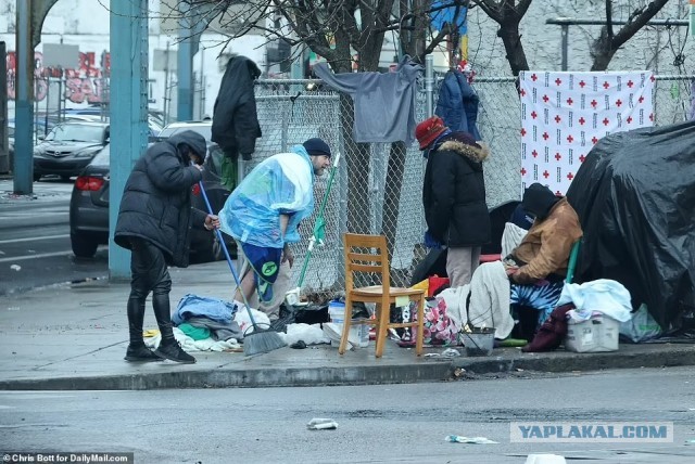 Дожили. В РАН поддержат гомеопатию
