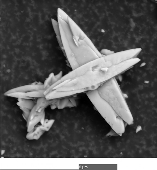 Микромир без дураков и ИИ