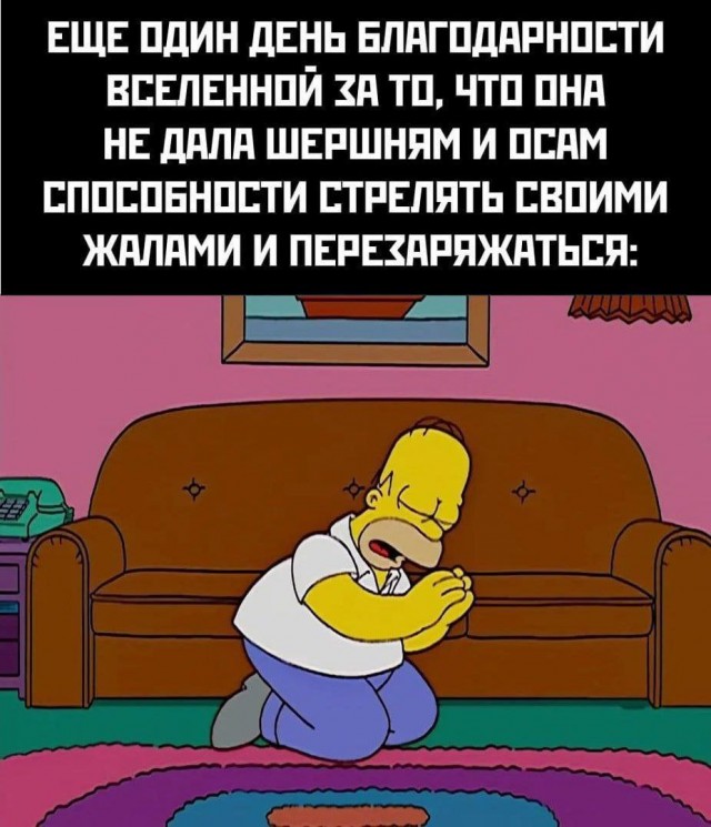 Картинки для деградации 157 (разной степени свежести)