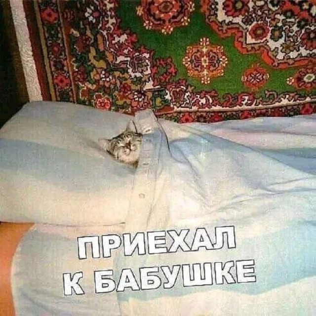 Так себе картинки 15.03.26