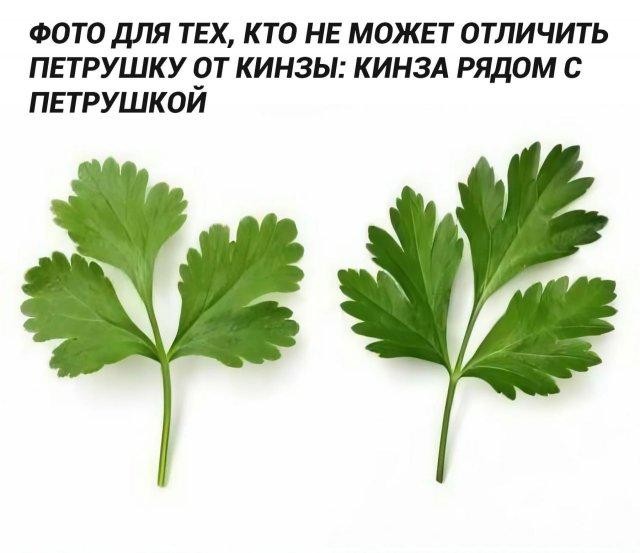 Картинки для деградации 163 (разной степени свежести)