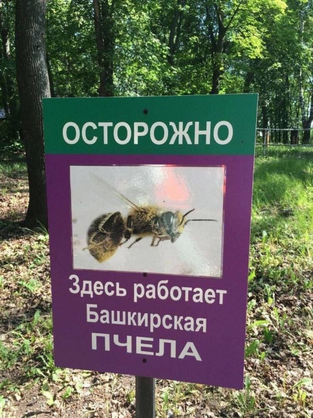 Картинки для деградации 200 (разной степени свежести)