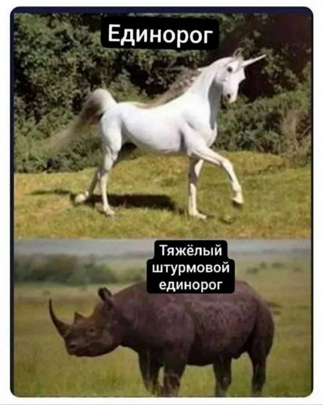 Веселые картинки в маленькую пятницу (08.07)