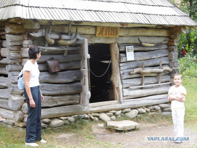 В Карпатах