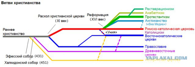Во Франции официально объявили о начале гонений