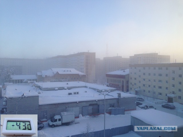 -50.0 У кого ниже?