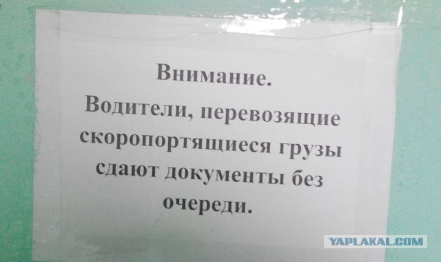 Озеленение Владивостока.