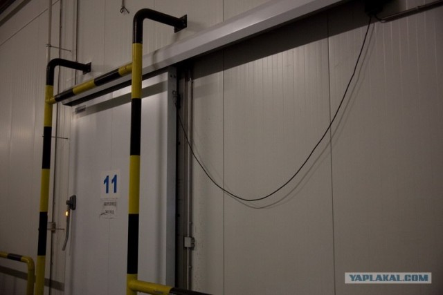 Экскурсия на самой большой холодильник в Украине.