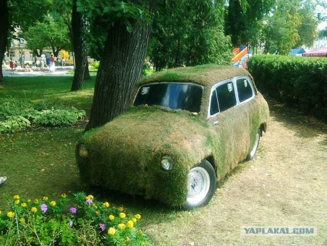 Всем зеленки!
