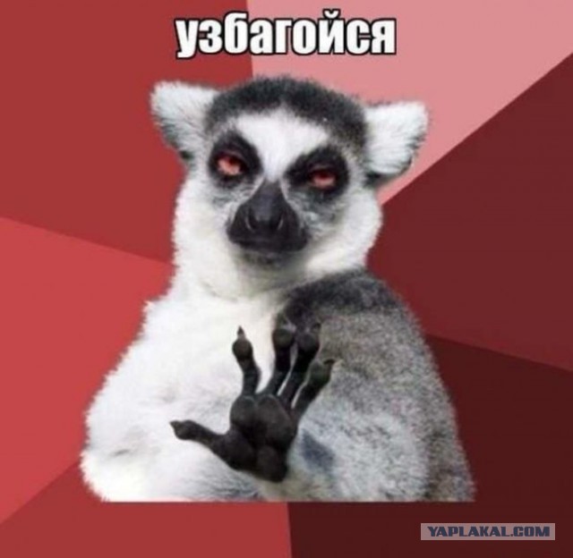 Местами поднадоевшие картинки