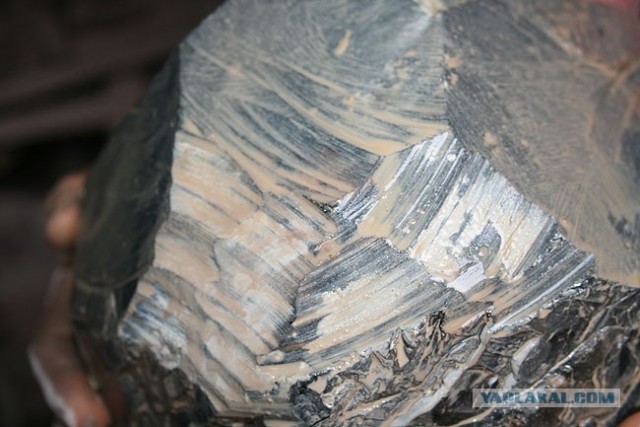 Морион или Как мы «кабана» резали