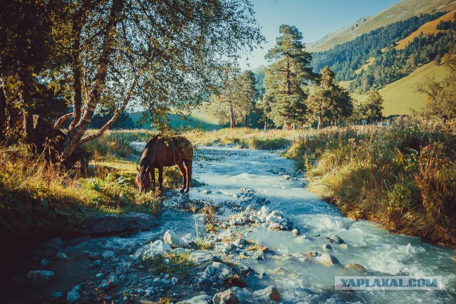 К заповедным озерам и долинам Архыза