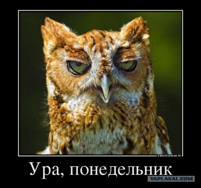 Сово-понедельнег