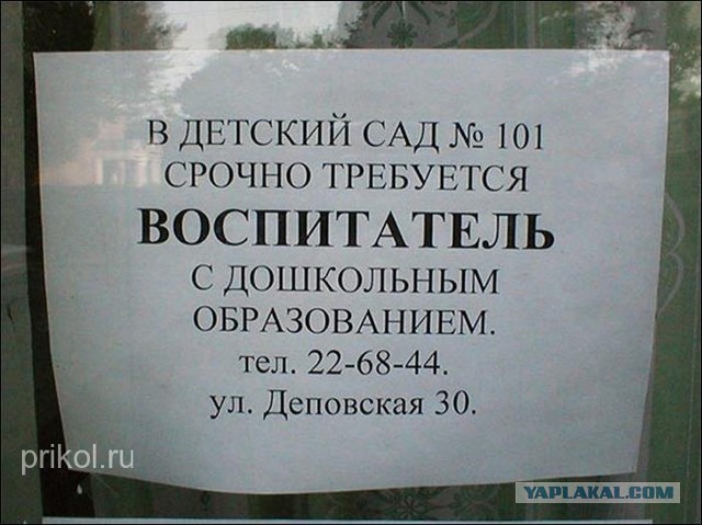 Картинки из интернета
