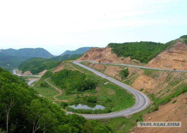 Скоростная поездка на лонгборде
