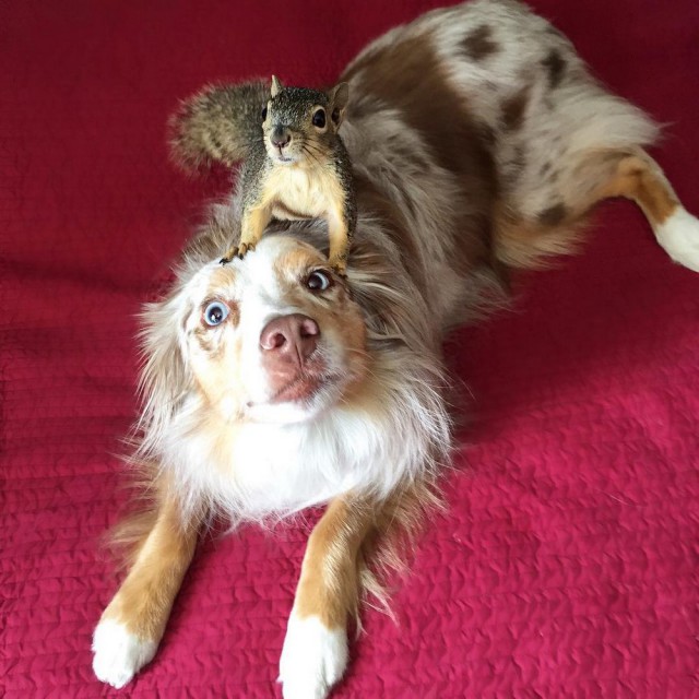 Свежая подборка красивых фото