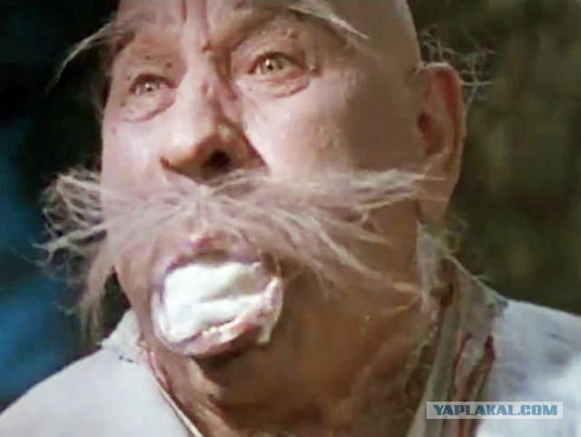 Из группы поддержки Савченко