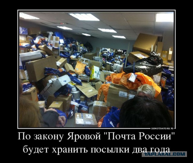 На сайте РОИ начался сбор подписей против «пакета Яровой»