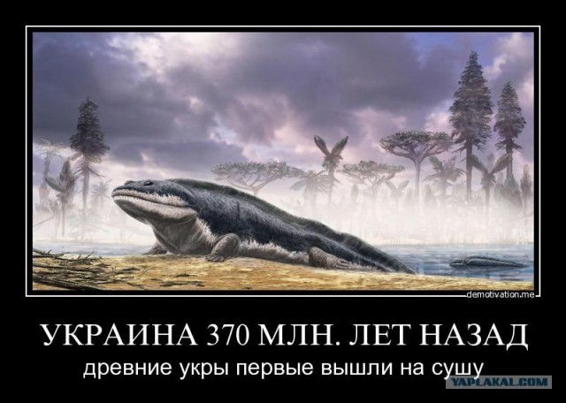 История, где-то ты нас кидаешь!