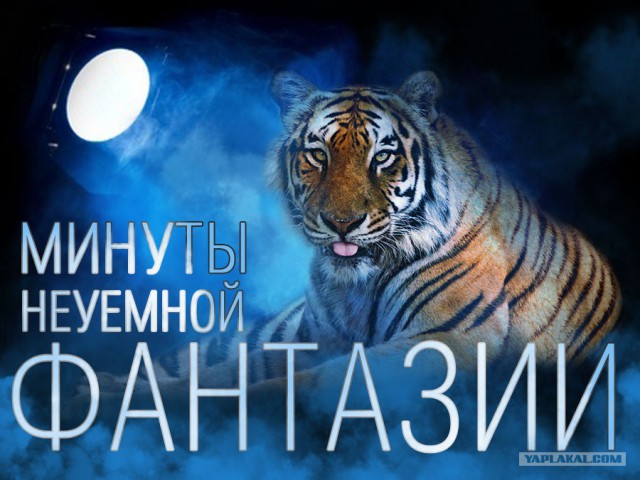 Подстава от полиции. Чего нельзя поднимать с тротуаров наших улиц