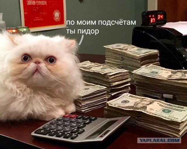 Четыре трансвестита отгребают от полиции в Караганде