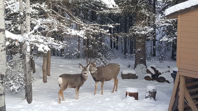 Почему привычный отдых для россиянина невозможен в США?