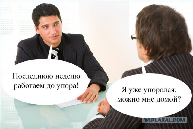 Немного картинок в этот вторник