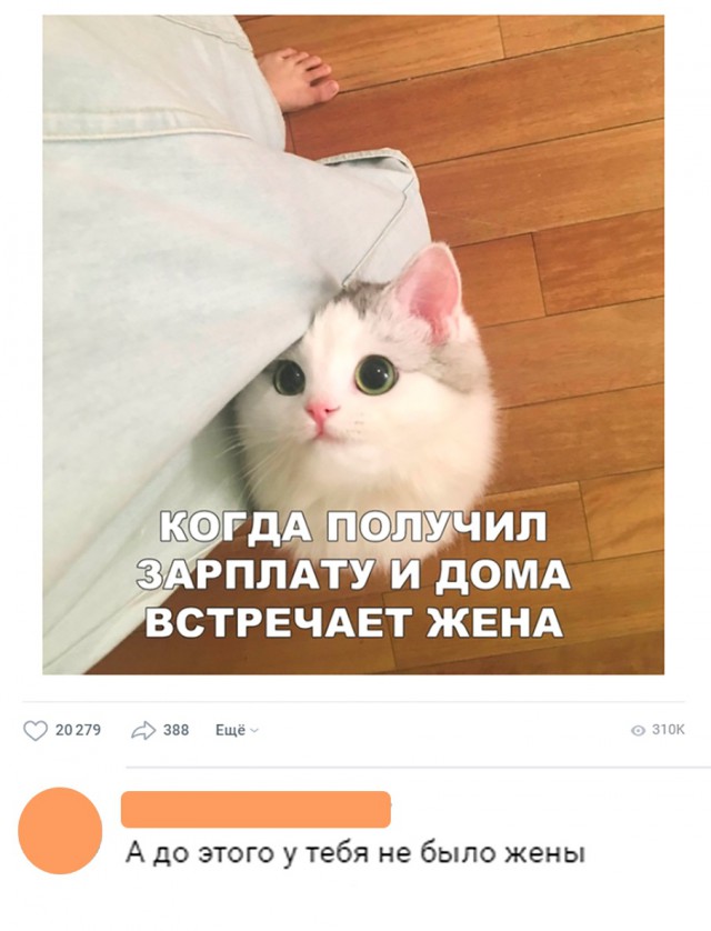 Нестандартный юмор